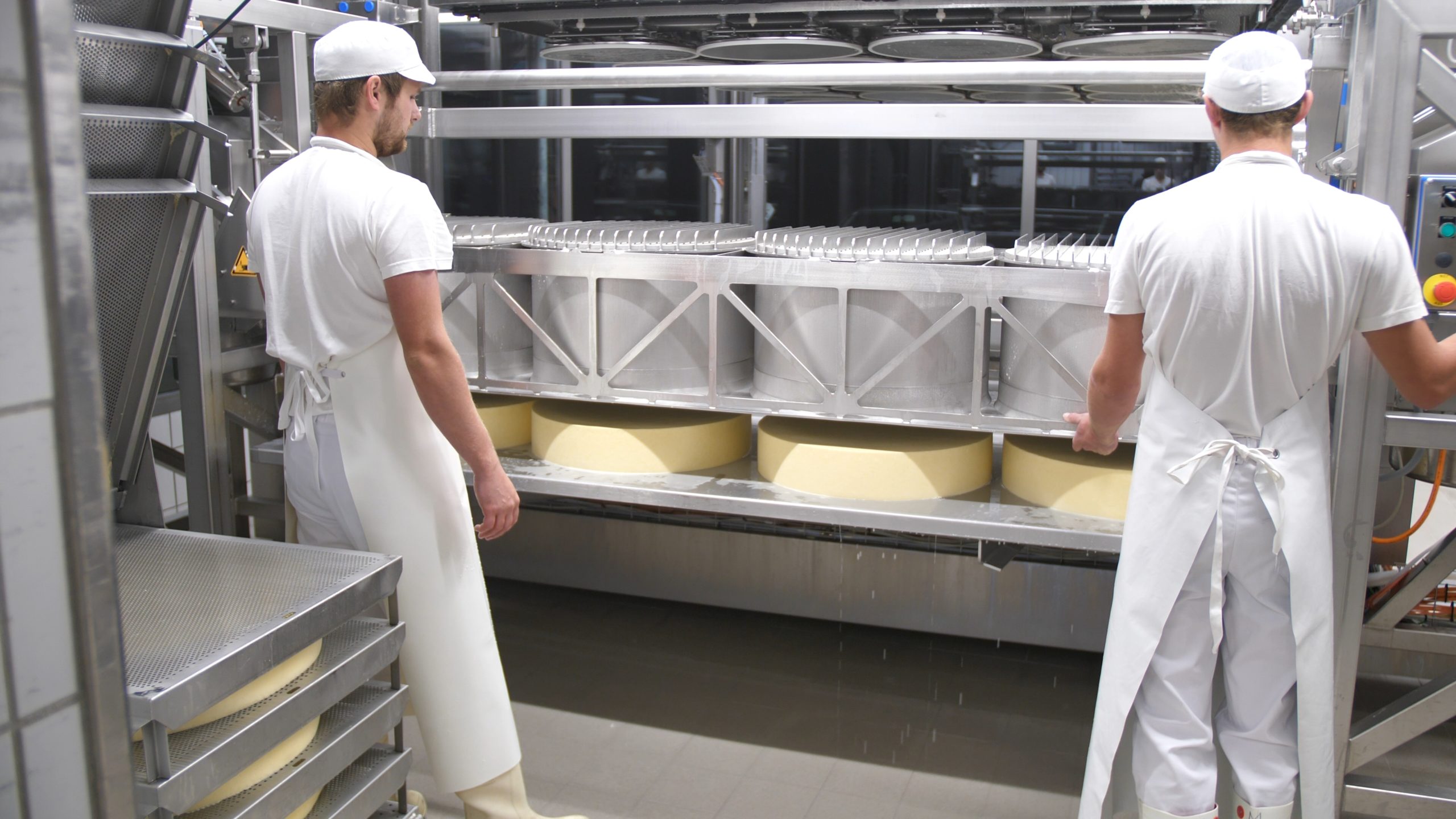 P1200783.MP4_snapshot_00.53_[2020.12.30_05.15.46]