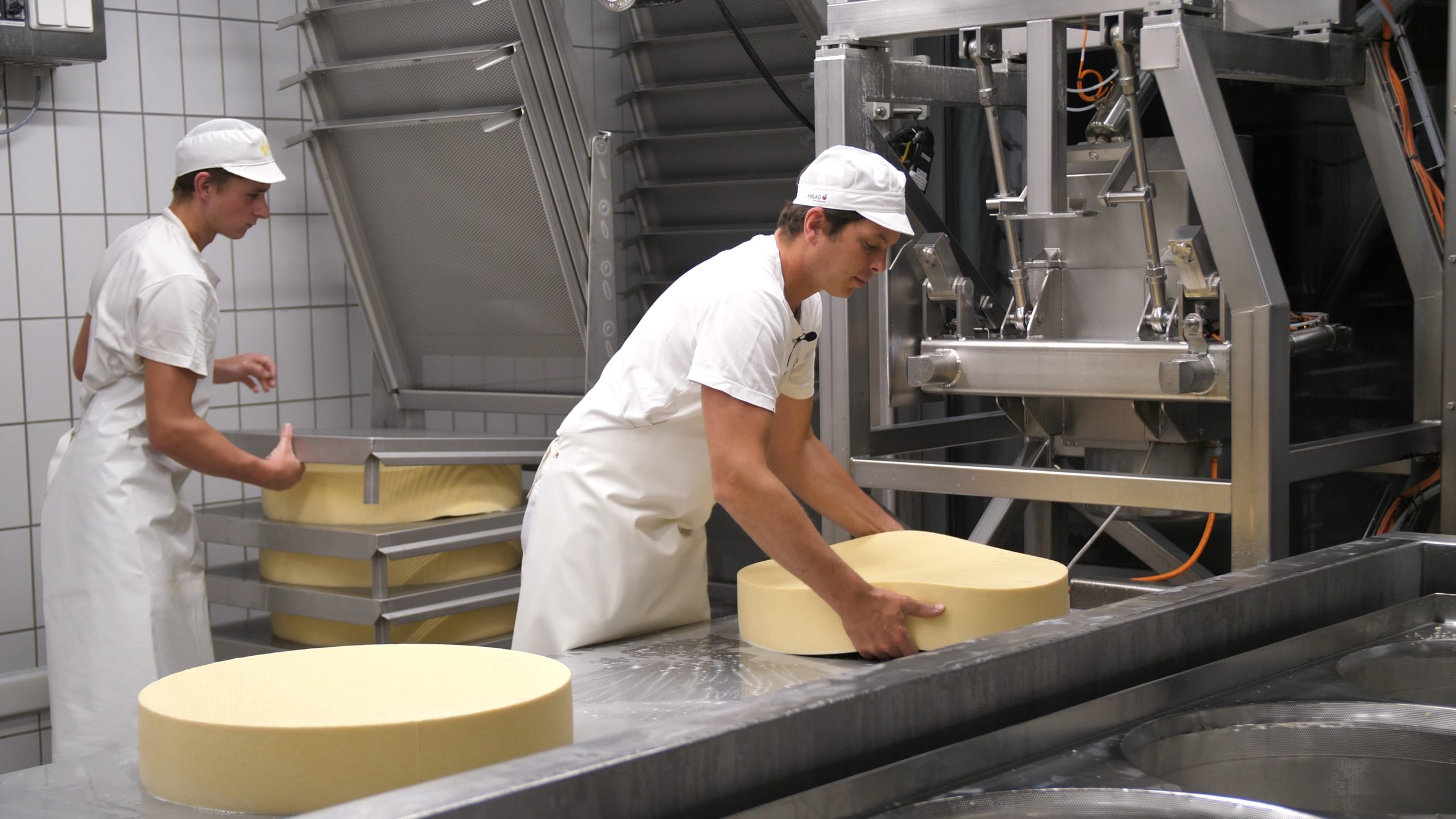 P1200784.MP4_snapshot_00.01.19_[2020.12.30_05.19.47]