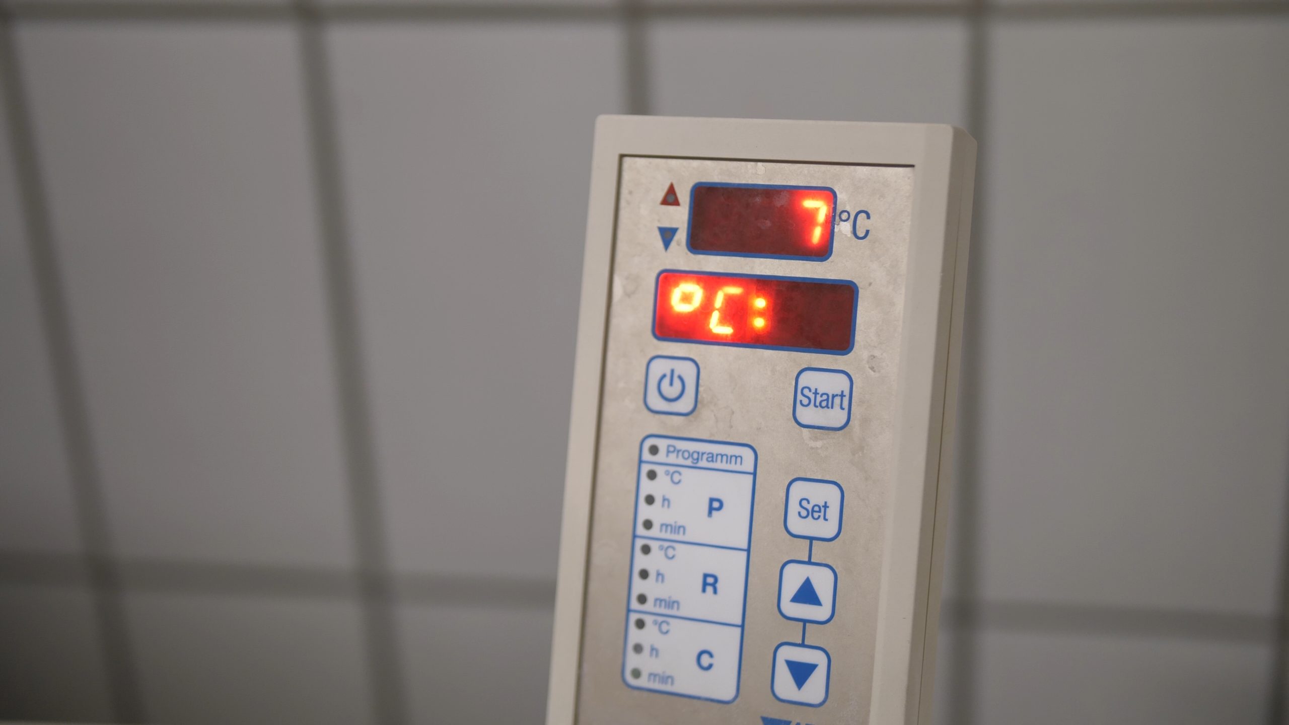 P1200784.MP4_snapshot_00.46.31_[2020.12.30_05.34.42]