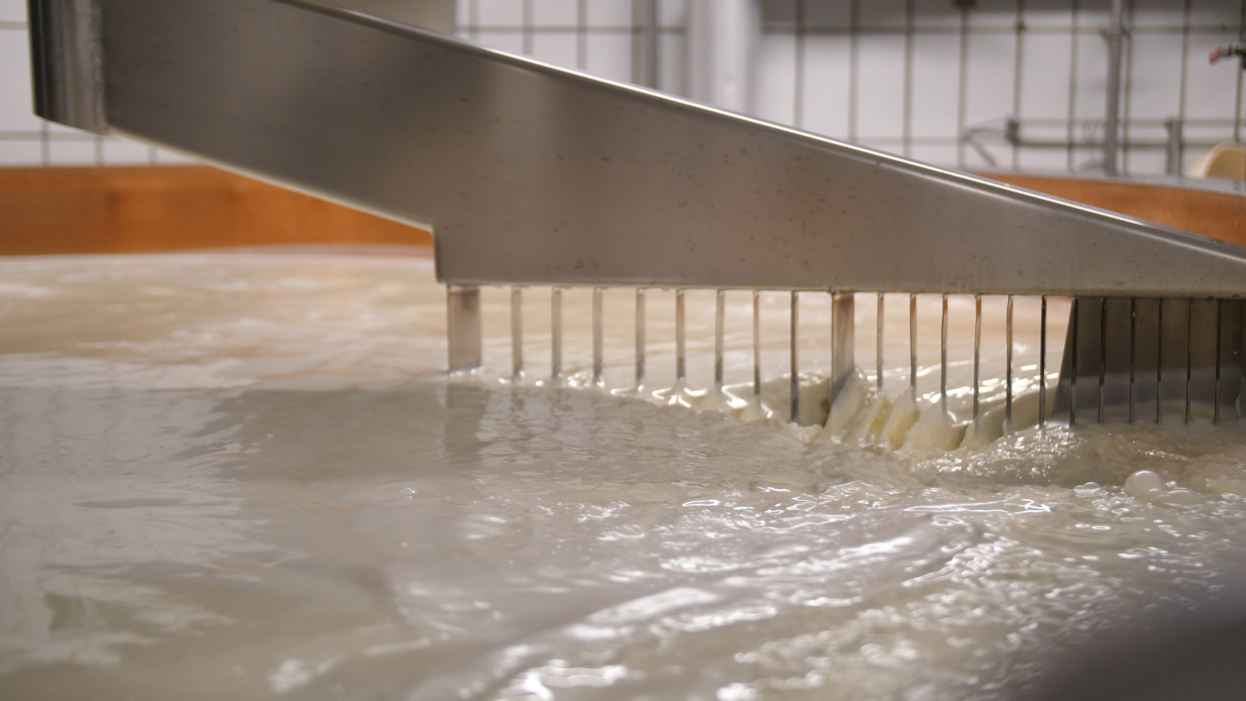 P1200787.MP4_snapshot_01.25_[2020.12.30_05.41.01]