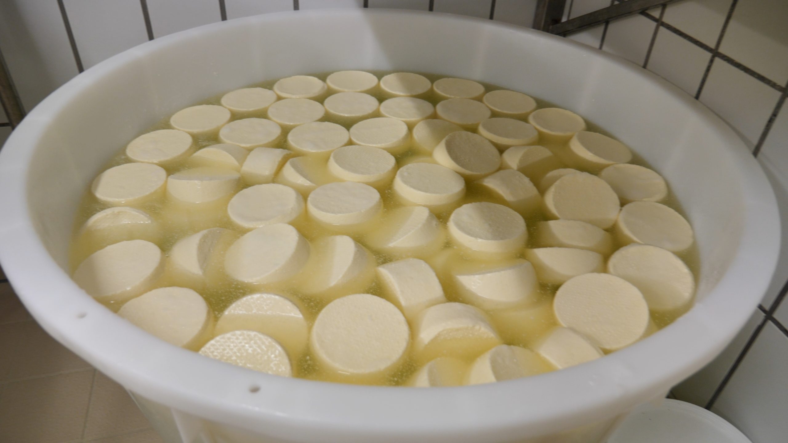 P1211449.MP4_snapshot_05.55_[2020.12.30_04.05.02]