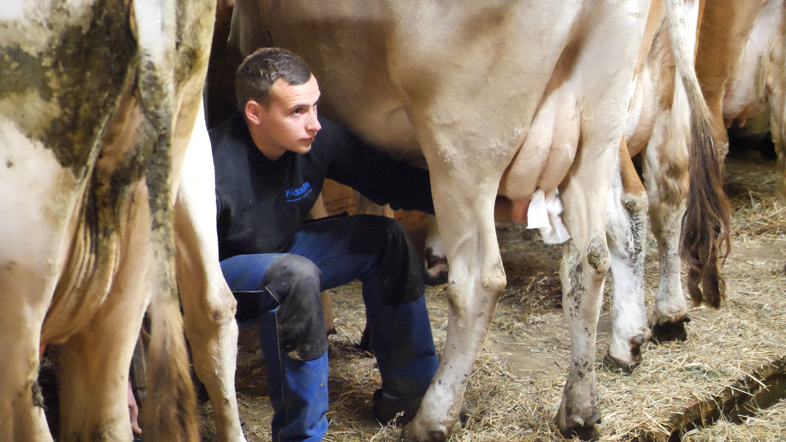 P1211449.MP4_snapshot_11.37_[2020.12.30_04.06.29]