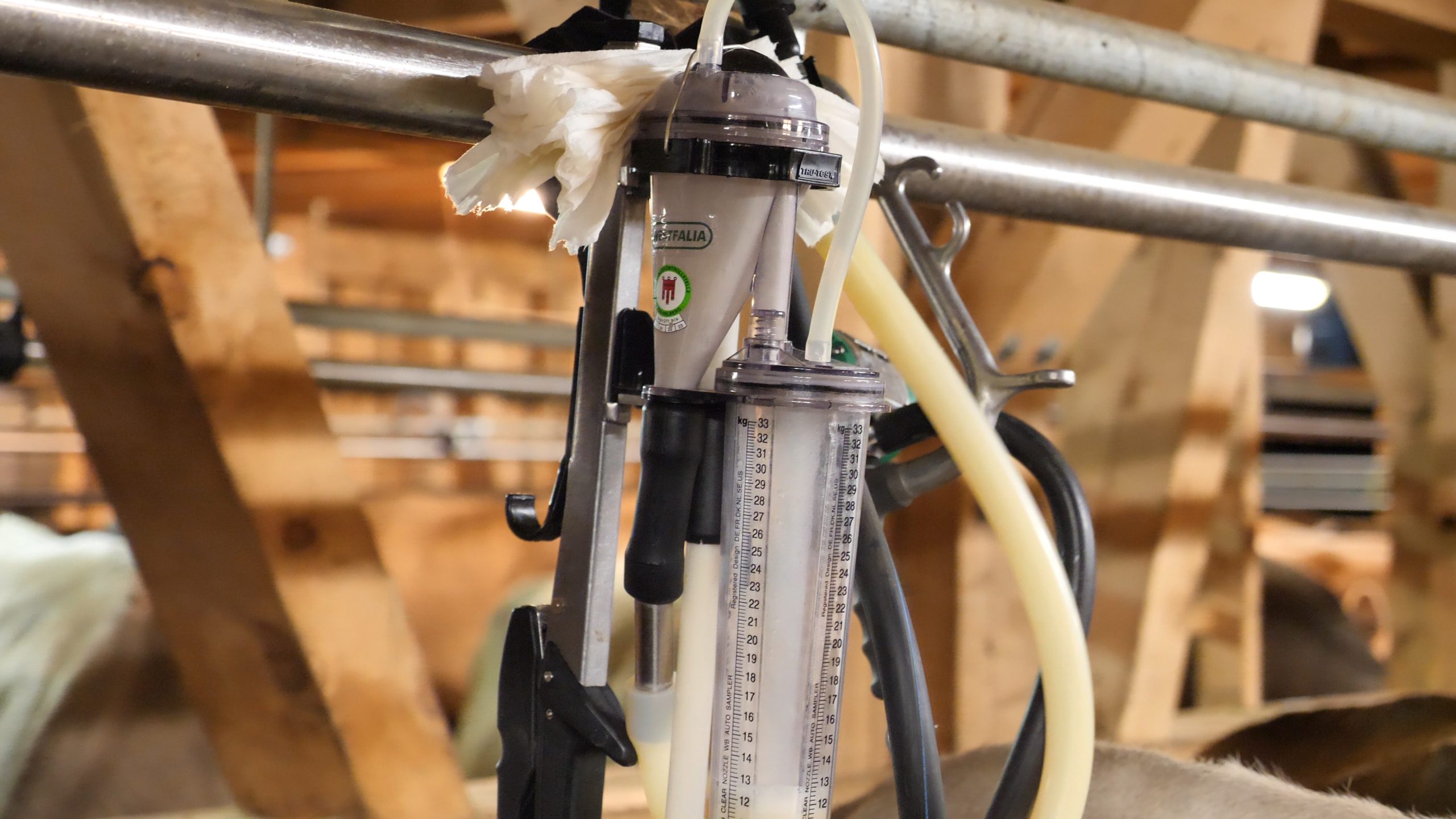 P1211449.MP4_snapshot_12.33_[2020.12.30_04.06.47]