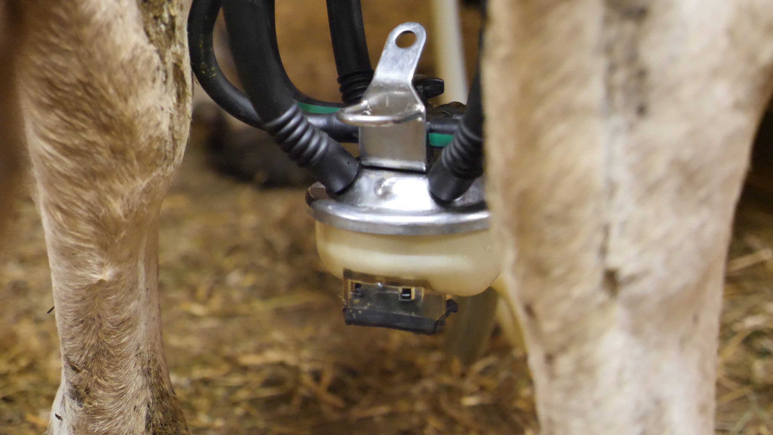 P1211449.MP4_snapshot_13.13_[2020.12.30_04.07.16]