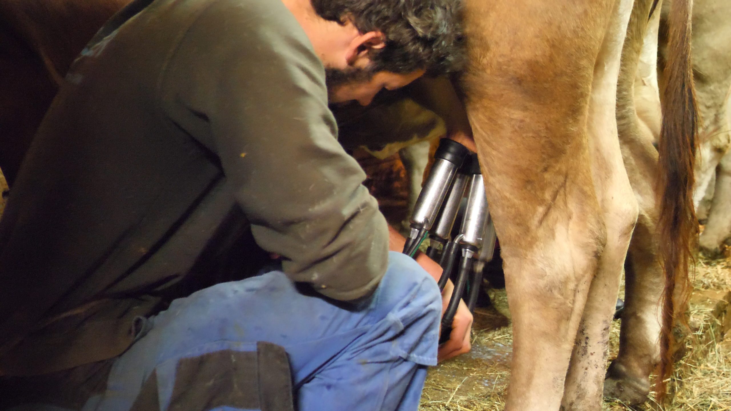 P1211449.MP4_snapshot_17.56_[2020.12.30_04.11.30]