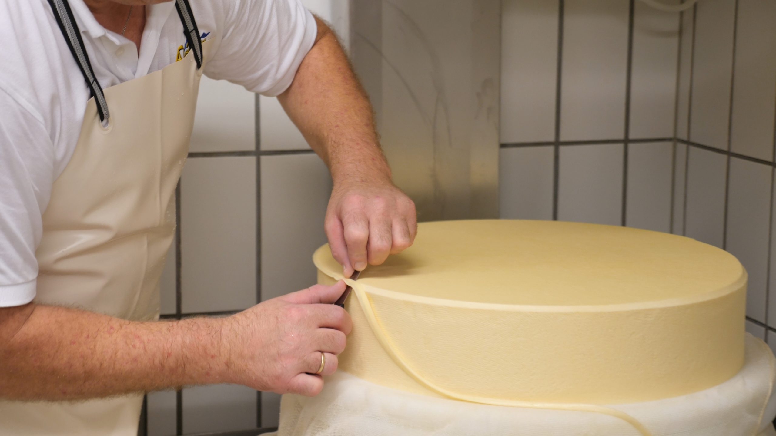 P1211449.MP4_snapshot_23.28_[2020.12.30_04.10.39]