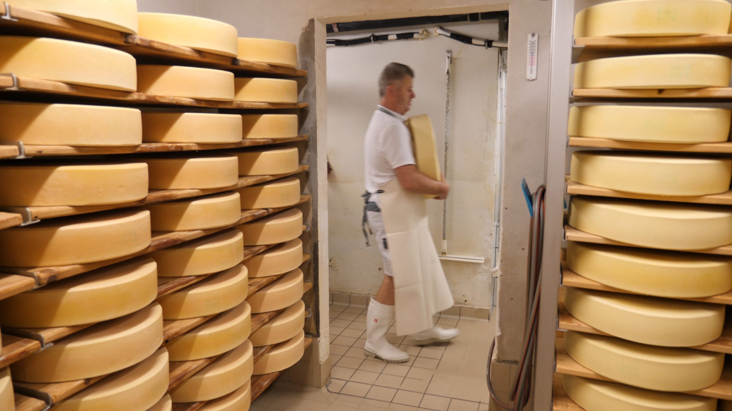 P1211449.MP4_snapshot_33.38_[2020.12.30_04.16.33]