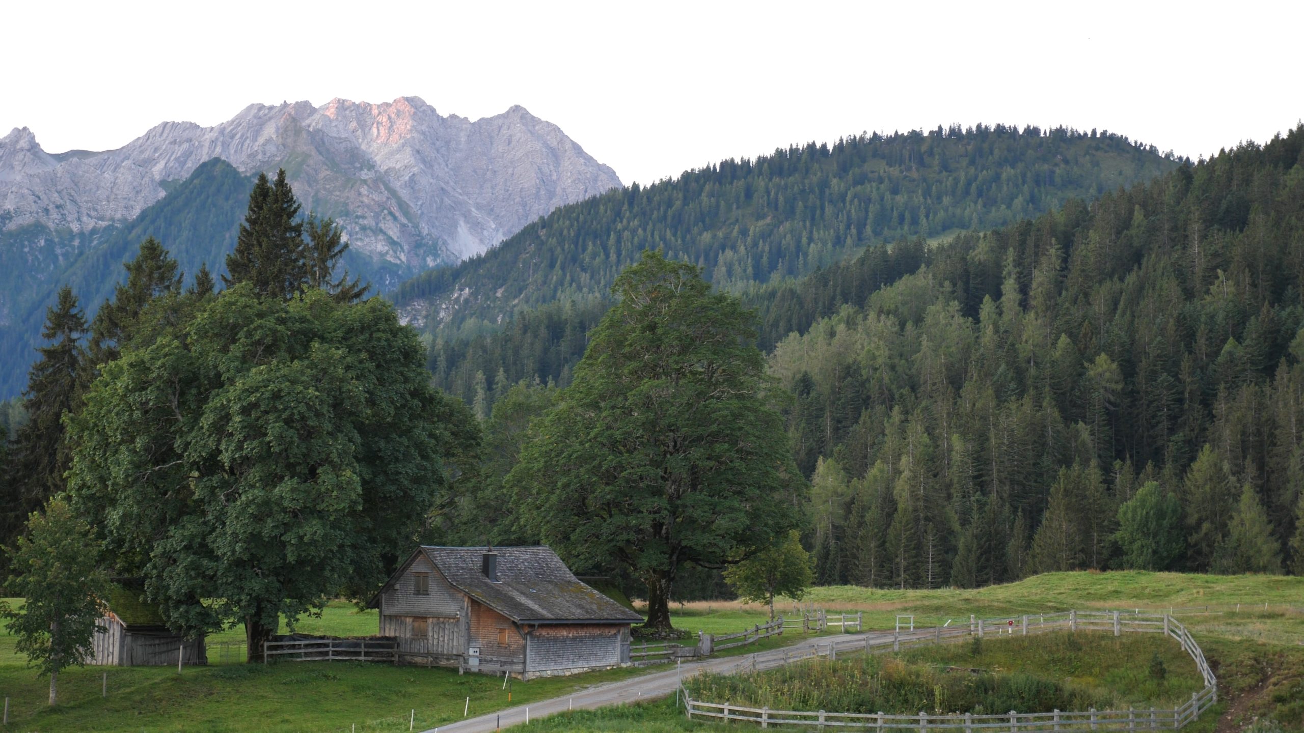 P1211459.MP4_snapshot_00.01_[2020.12.30_04.32.26]