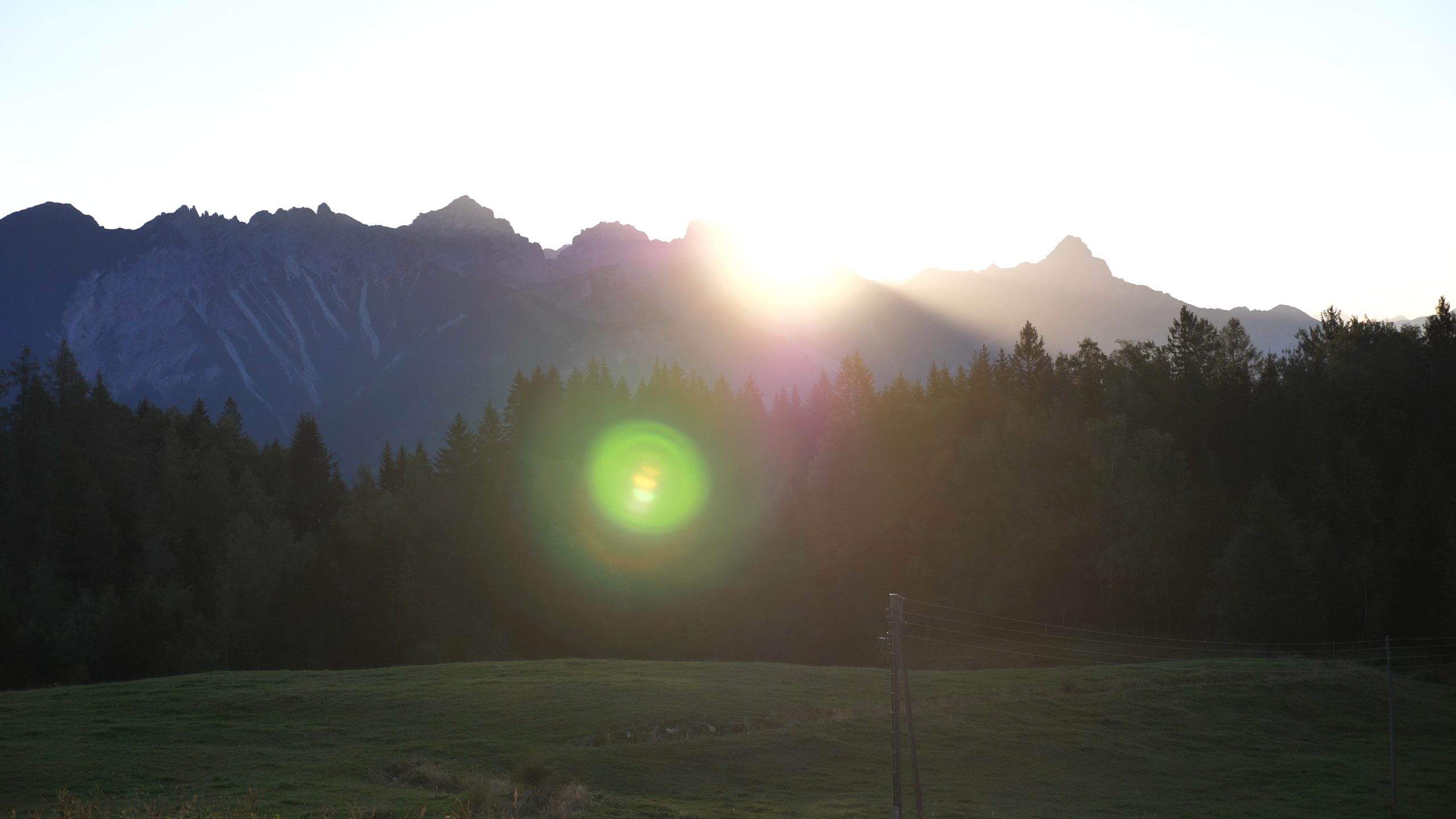 P1211460.MP4_snapshot_03.46_[2020.12.30_04.32.53]