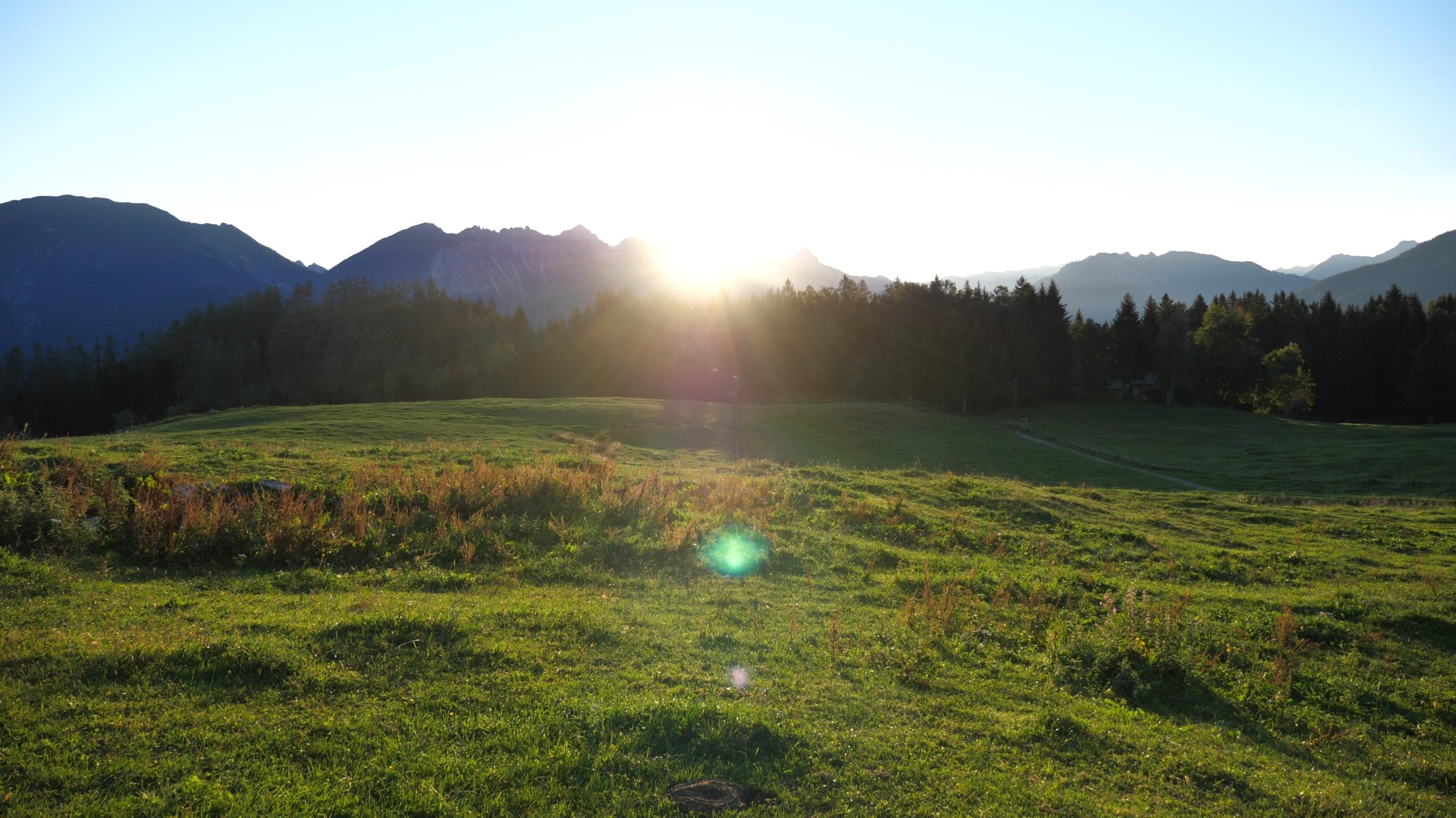 P1211460.MP4_snapshot_04.35_[2020.12.30_04.33.18]