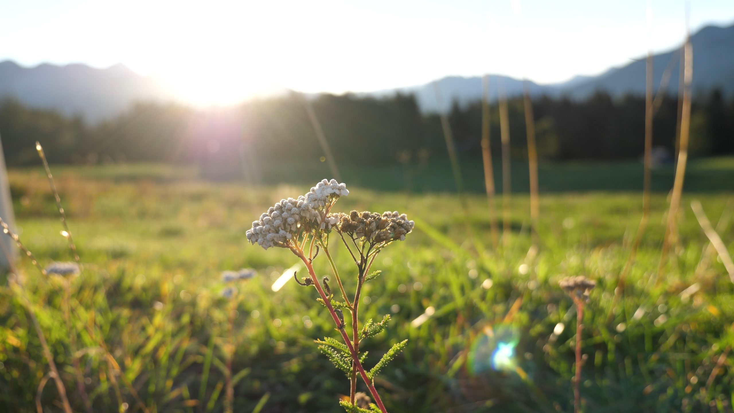 P1211460.MP4_snapshot_11.47_[2020.12.30_04.33.35]