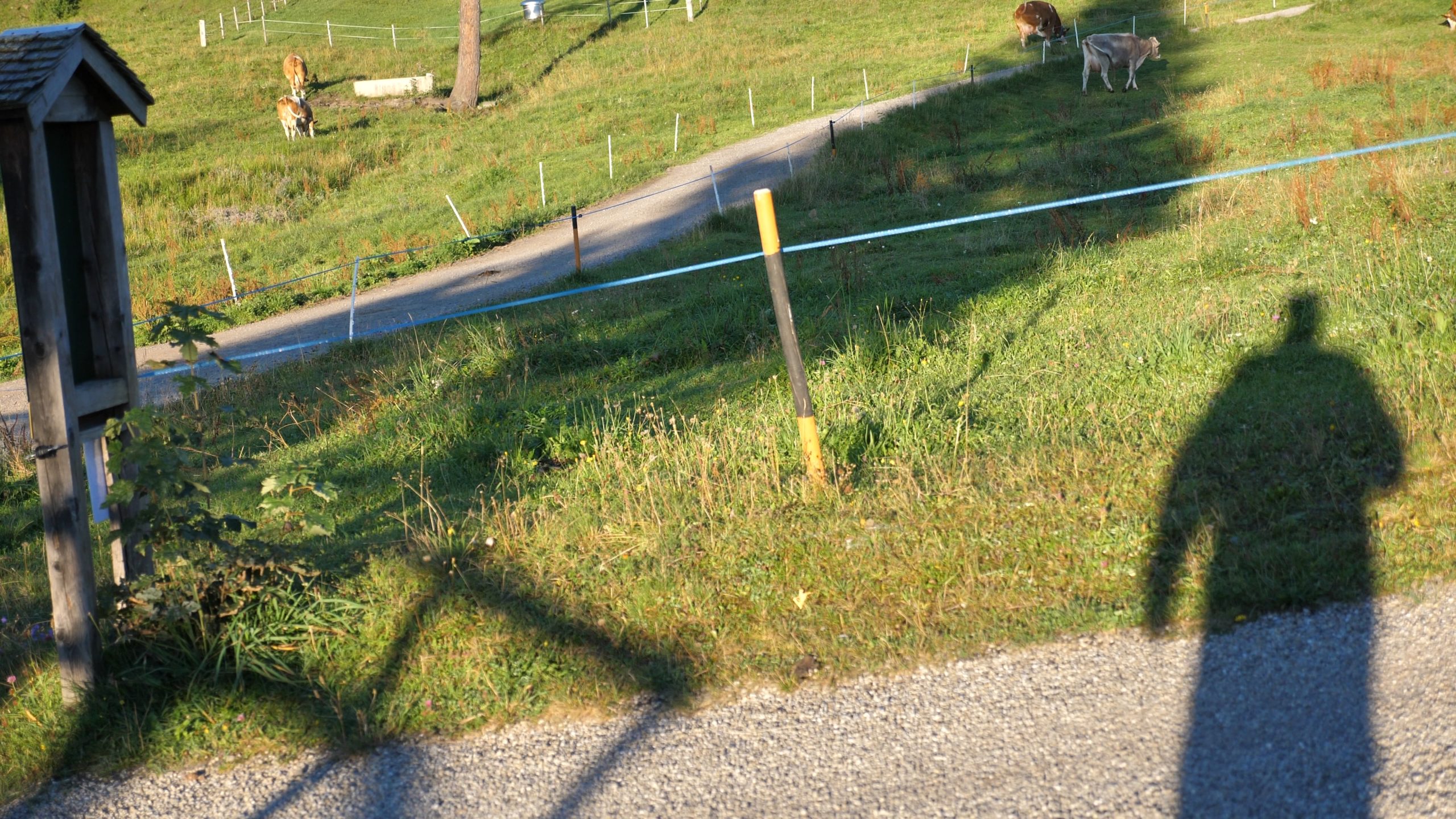 P1211460.MP4_snapshot_18.48_[2020.12.30_04.33.43]