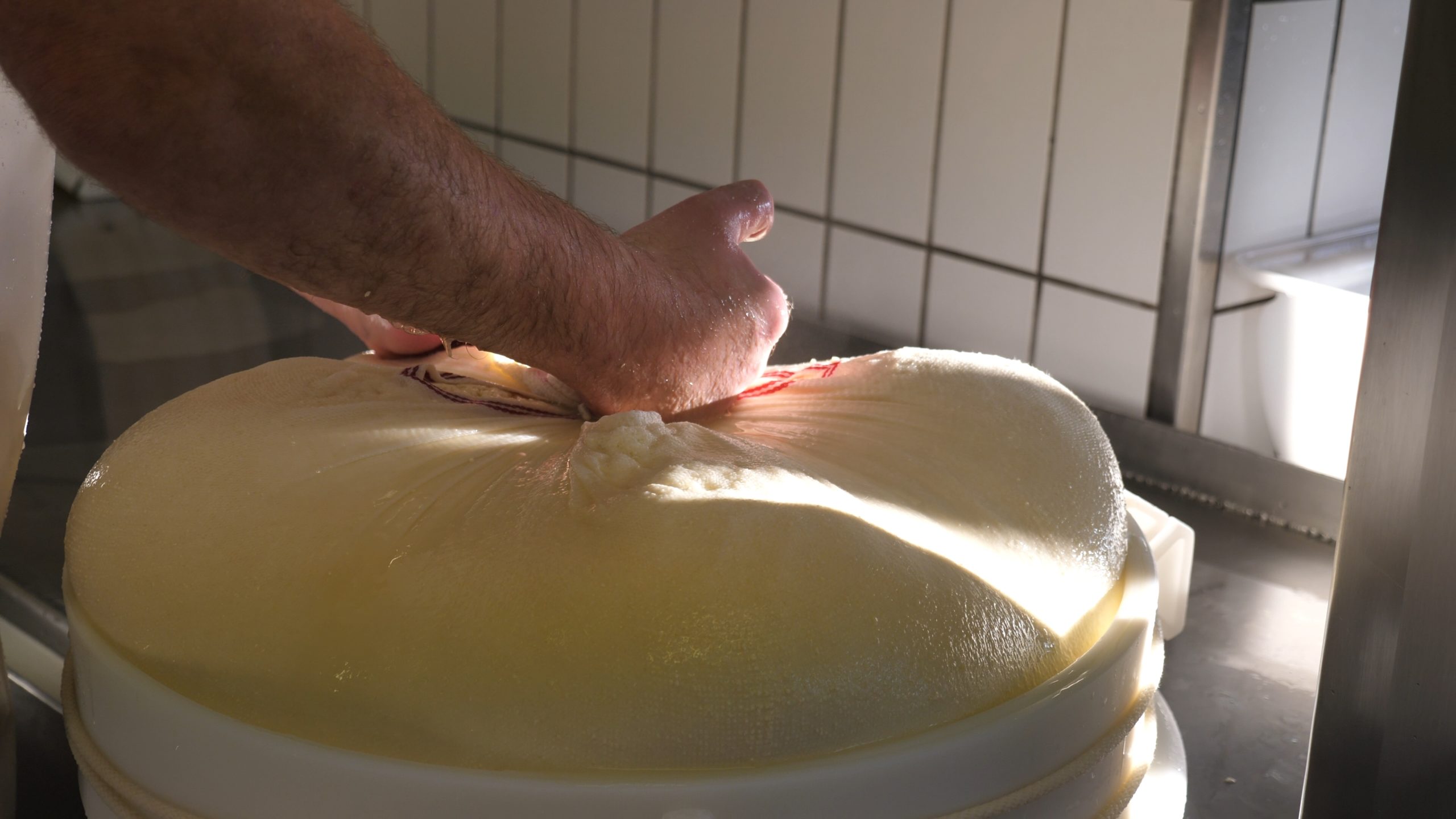 P1211461.MP4_snapshot_04.26_[2020.12.30_04.38.07]