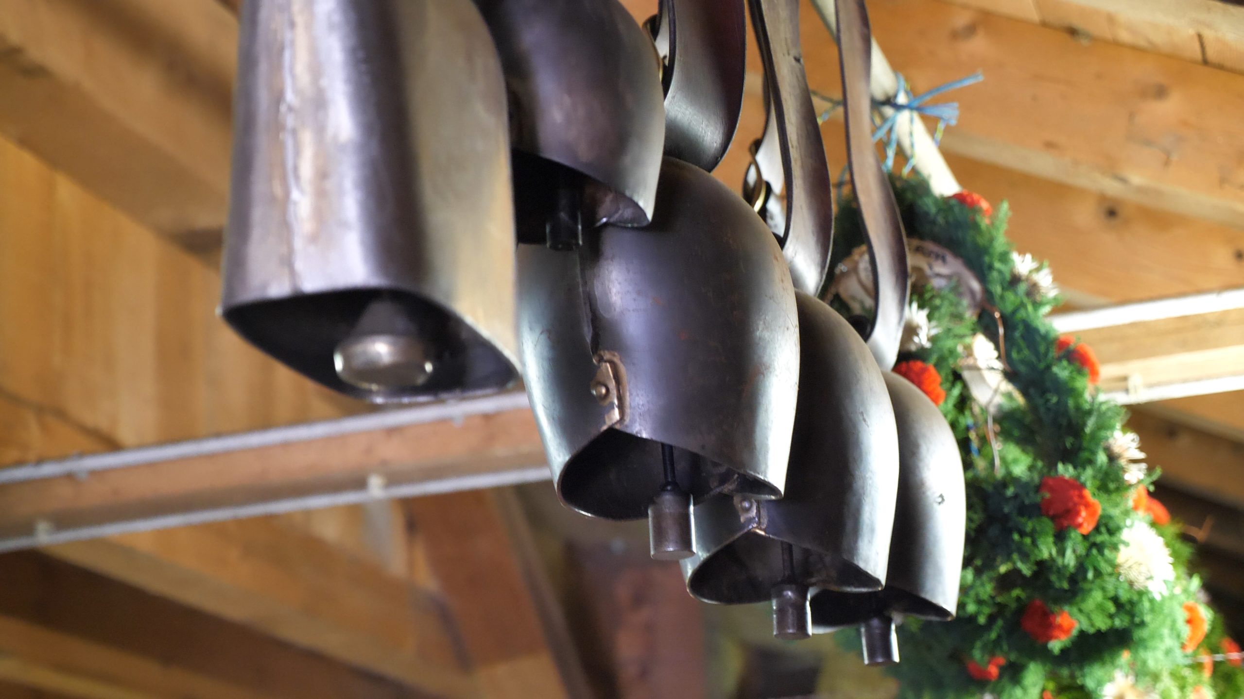 P1211466.MP4_snapshot_00.01_[2020.12.30_04.42.24]