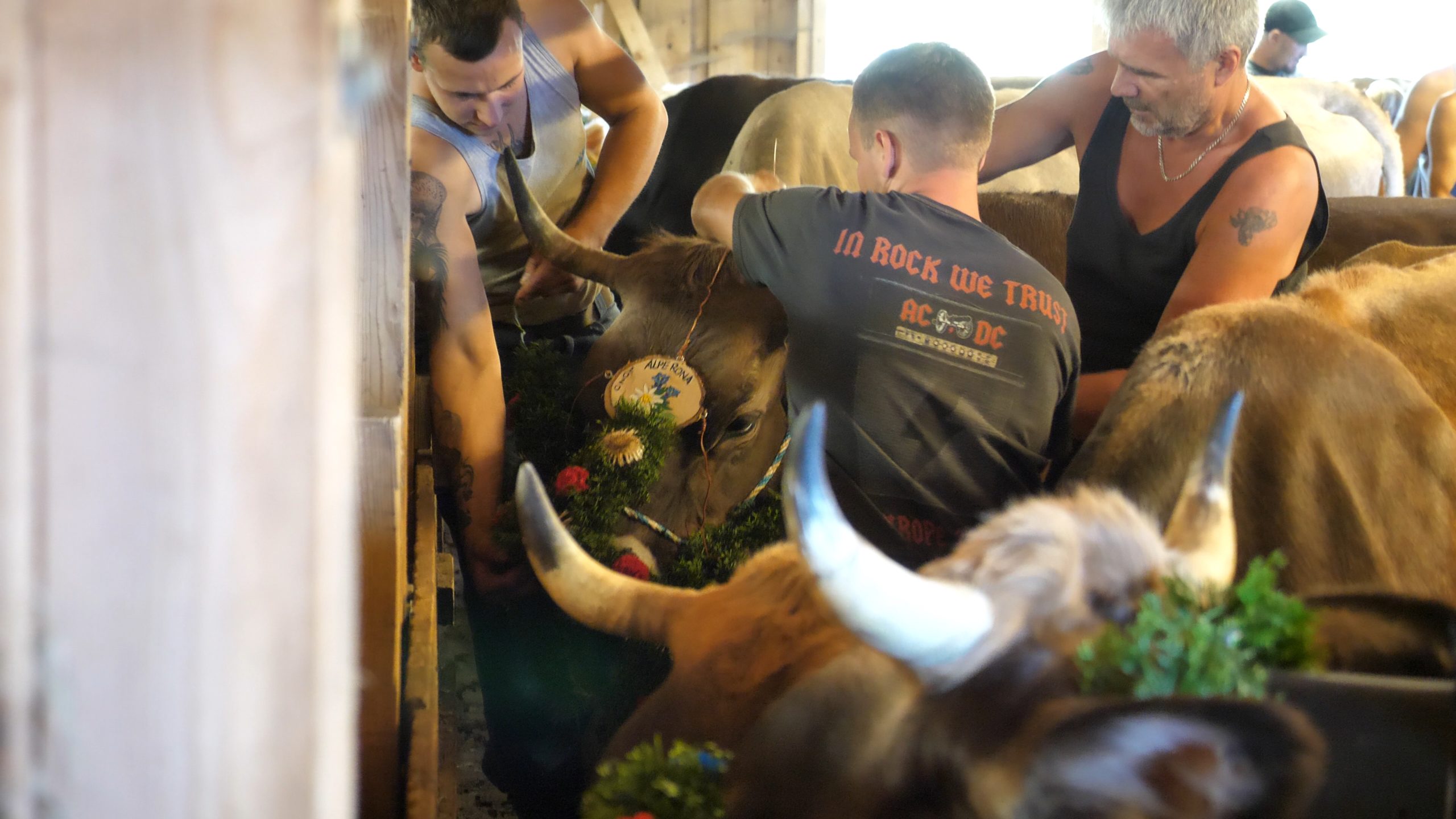 P1211471.MP4_snapshot_08.13_[2020.12.30_04.43.54]