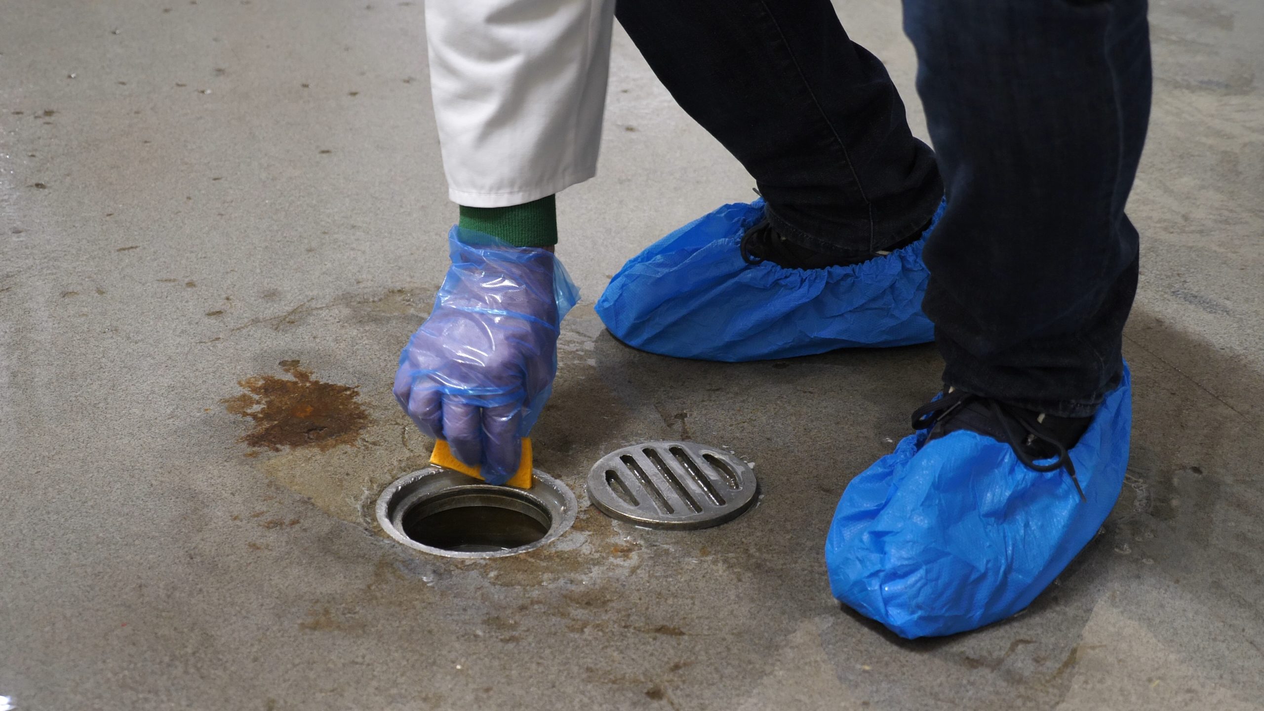 P1222141.MP4_snapshot_00.12.28_[2020.12.30_06.54.30]