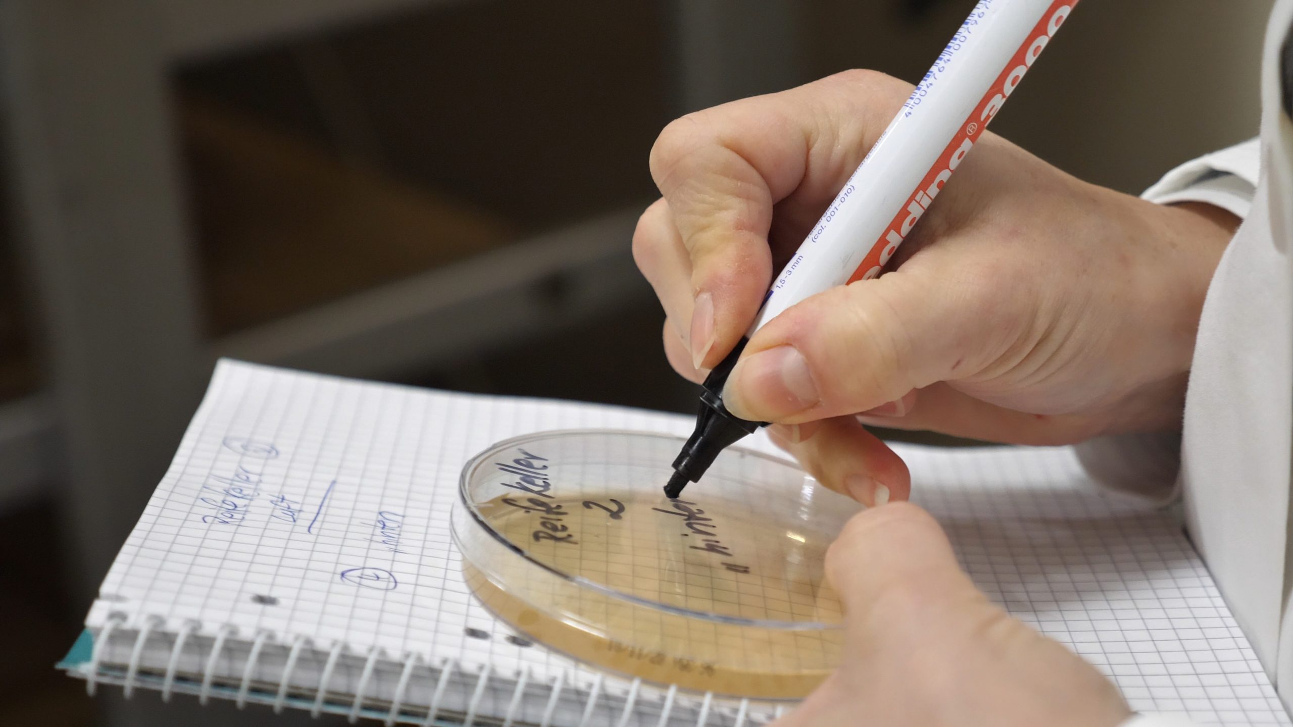 P1222141.MP4_snapshot_00.38.05_[2020.12.30_06.57.28]