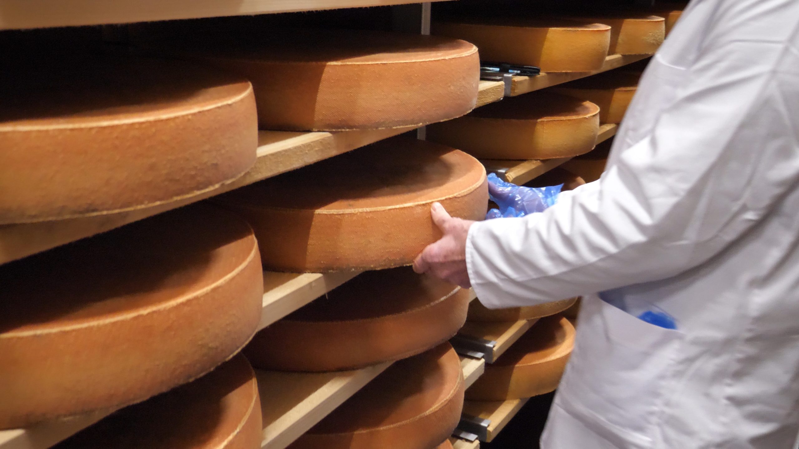 P1222141.MP4_snapshot_00.53.49_[2020.12.30_06.52.33]