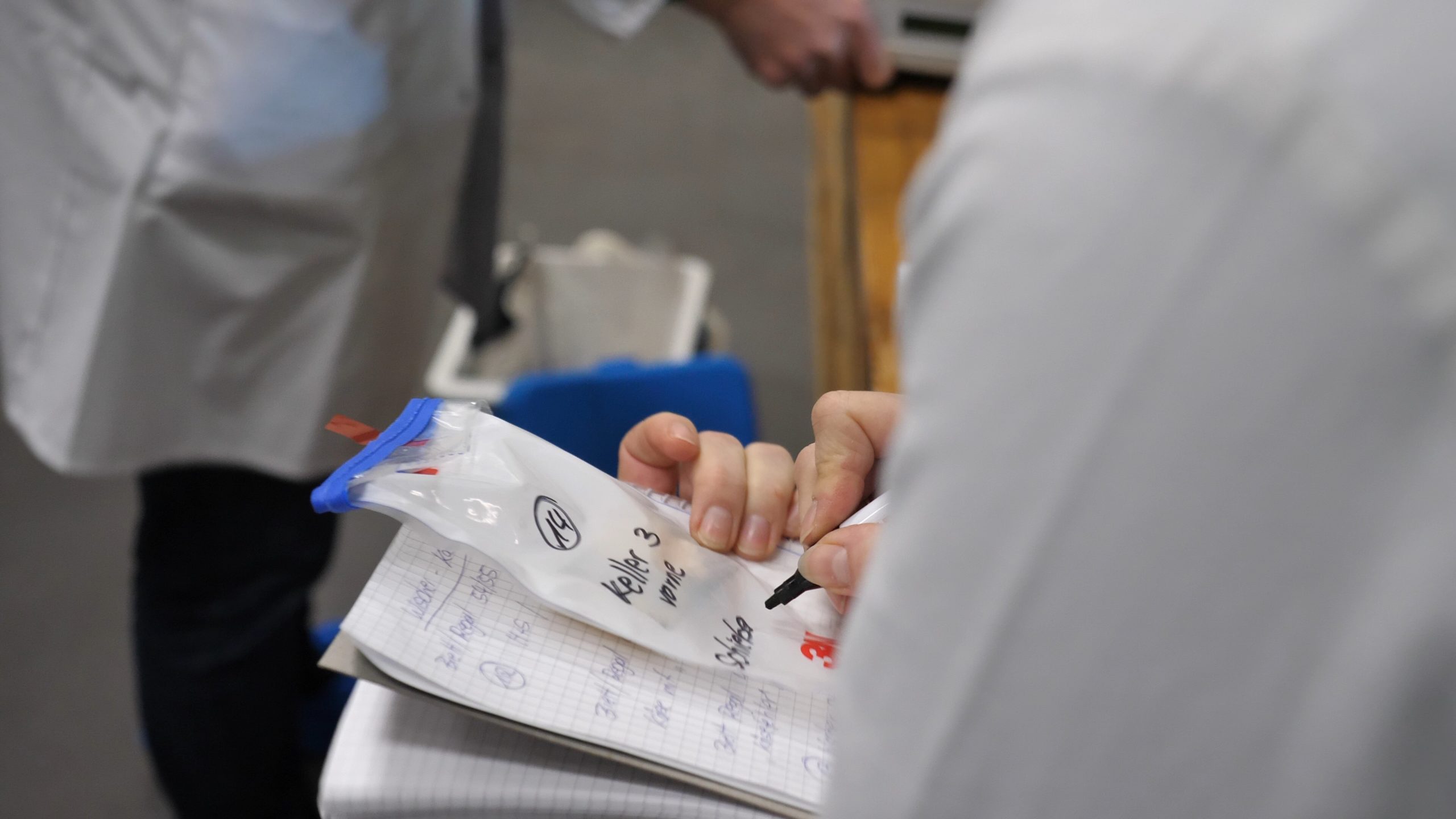 P1222141.MP4_snapshot_00.57.34_[2020.12.30_06.59.31]