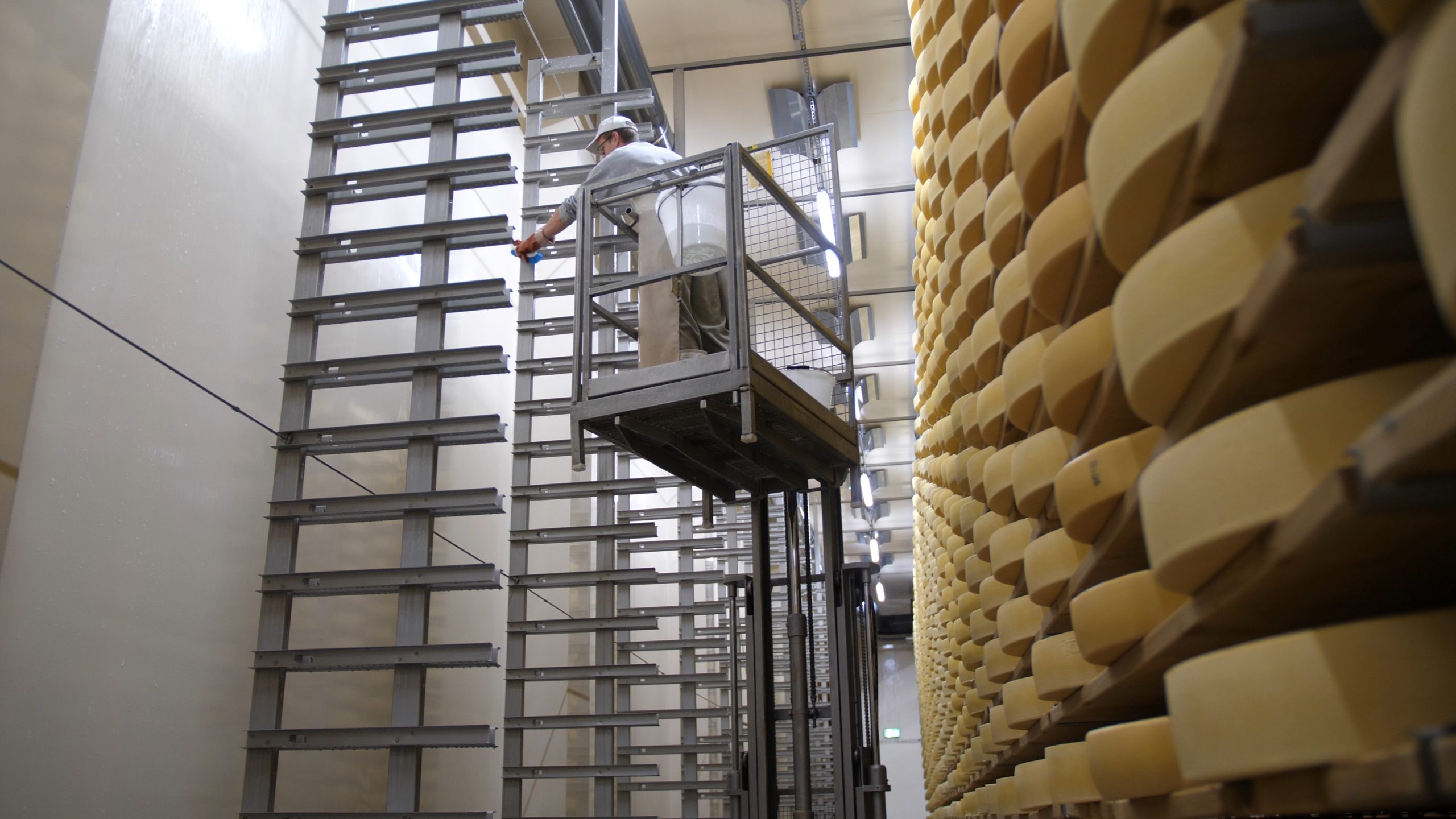 P1188757.MP4_snapshot_01.11_[2021.01.04_12.39.53]