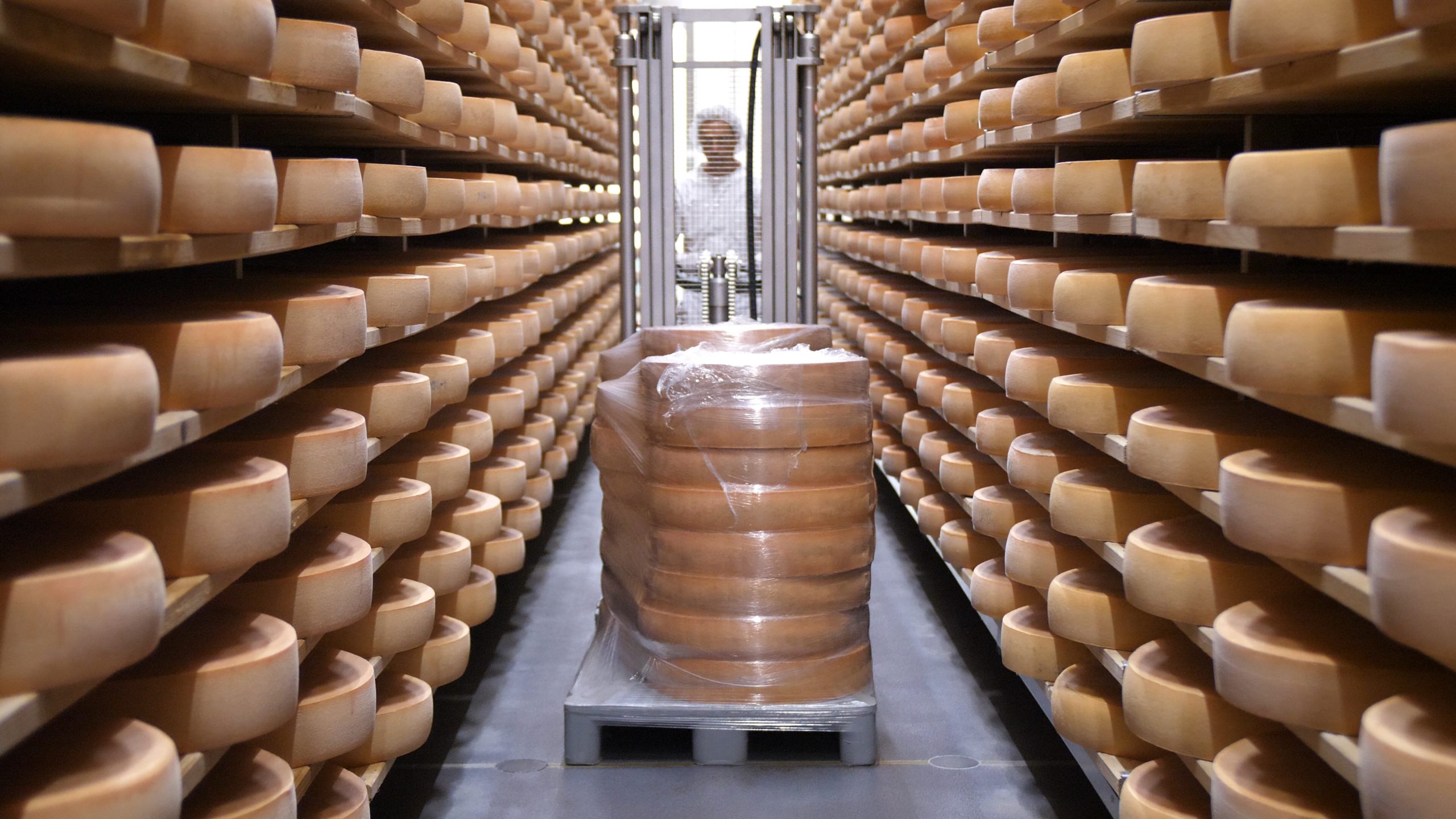 P1188765.MP4_snapshot_09.22_[2021.01.04_12.39.10]